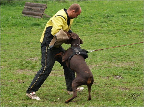 Training in Prague 10/2007